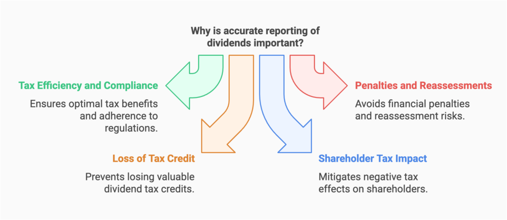 Infographic highlighting the importance of accurate reporting of dividends. Features four key points: Tax Efficiency and Compliance, ensuring adherence to regulations; Loss of Tax Credit, preventing the loss of valuable credits; Penalties and Reassessments, avoiding financial penalties; and Shareholder Tax Impact, mitigating negative tax effects on shareholders. 